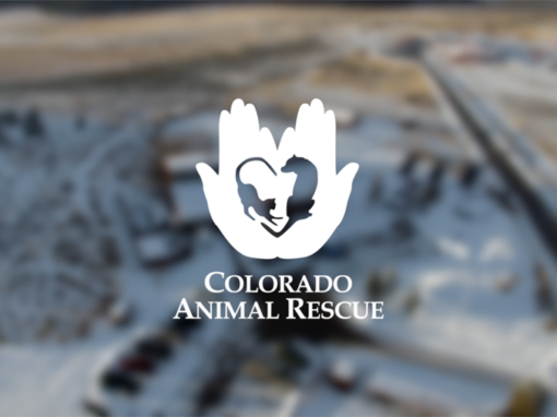 Colorado Animal Rescue (CARE)